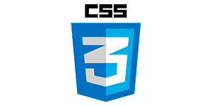 css3